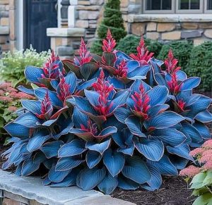 Хоста Грин Фог купить по цене от 669р. в интернет-магазине «Посадика» с доставкой почтой в в Балейе и по всей России – [изображение №1].