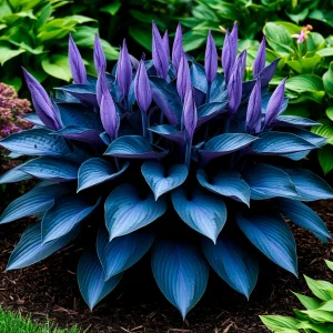 Хоста Сикрет Гров купить по цене от 570р. в интернет-магазине «Посадика» с доставкой почтой в в Балейе и по всей России – [изображение №1].